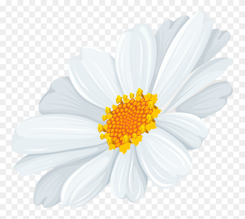 8000x7097 White Daisy Transparent Clip Art - White Daisy Clipart
