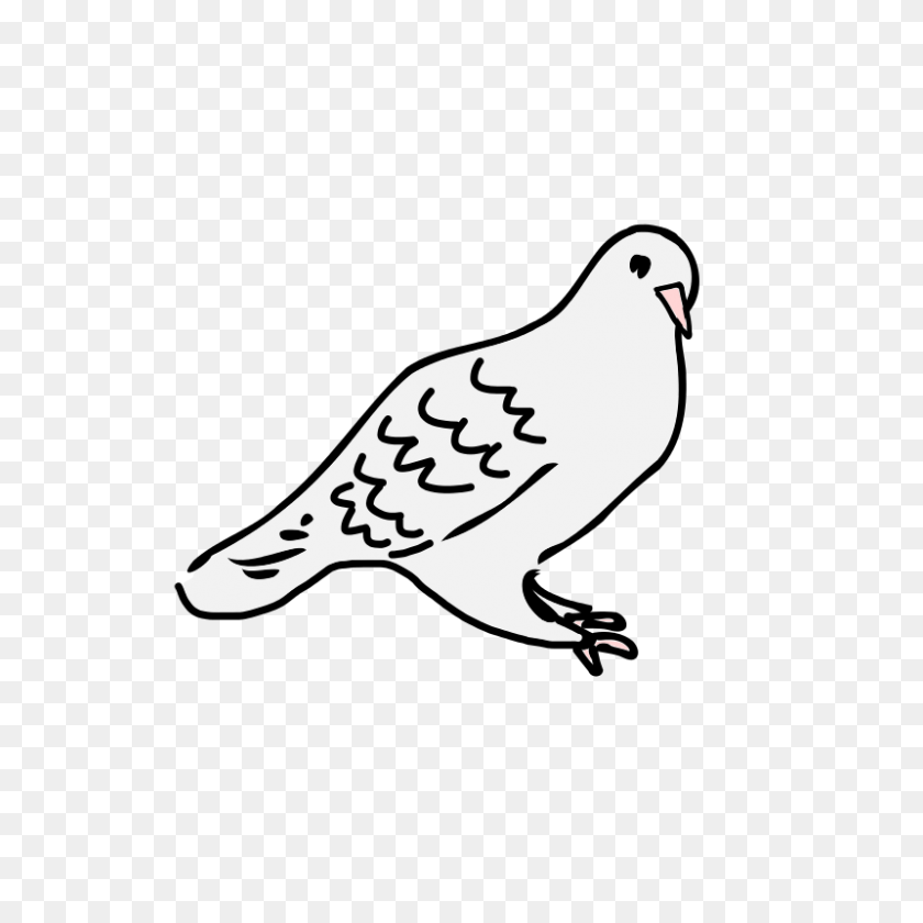 800x800 White Dove Clipart Cute - White Dove Clipart