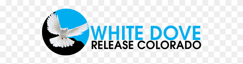 550x163 White Dove Release Colorado Home - Dove Logo Png