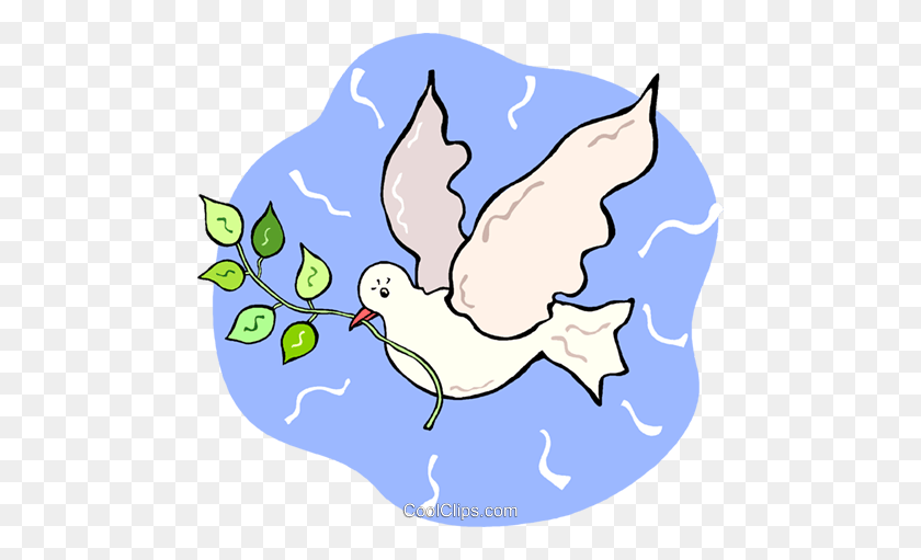 480x451 White Dove With An Olive Branch Royalty Free Vector Clip Art - White Dove Clipart