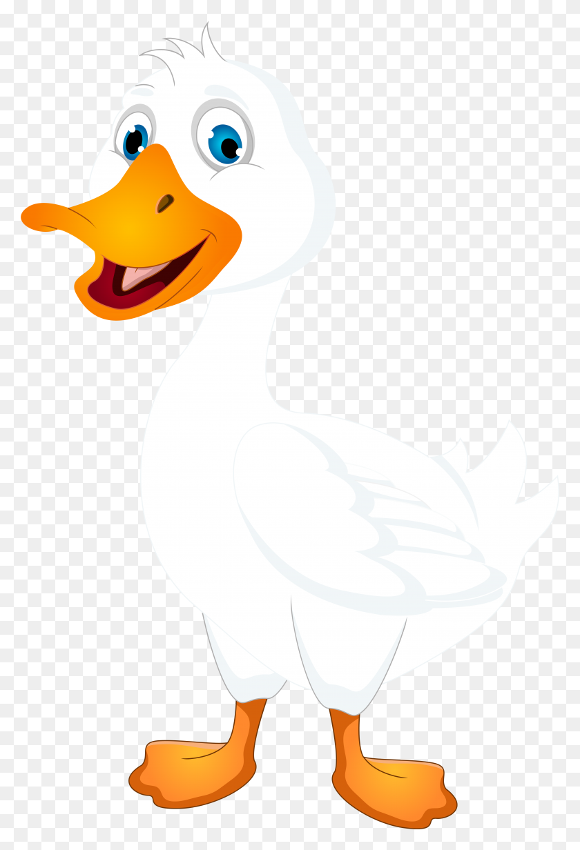 5223x7851 White Duck Cartoon Png Clip Art Image - Duck Face Clipart