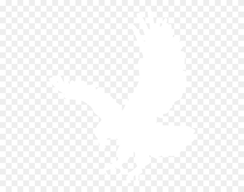 504x600 Белый Орел Картинки - Черно-Белый Орел Клипарт