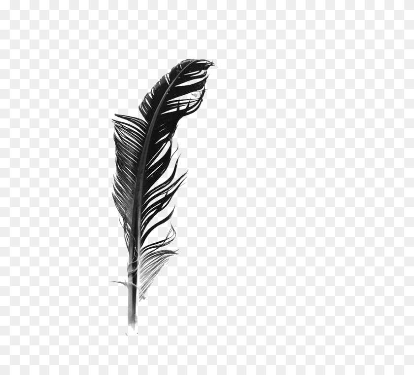 700x700 White Feather Black And White - Black Feathers PNG