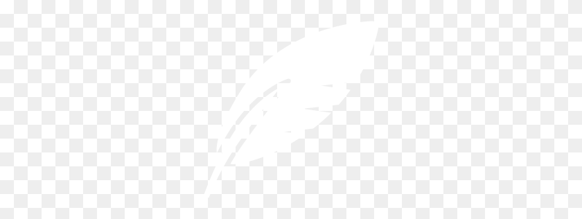 256x256 White Feather Icon - White Feather PNG
