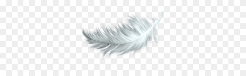 300x200 White Feather Png No Background Png Image - White Feather PNG