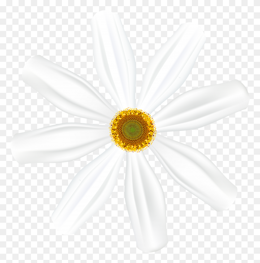 7895x8000 White Flower Clip Art - Pollen Clipart