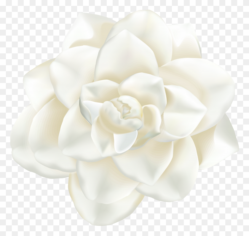 8000x7556 White Flower Png Clip Art - White Flower Clipart