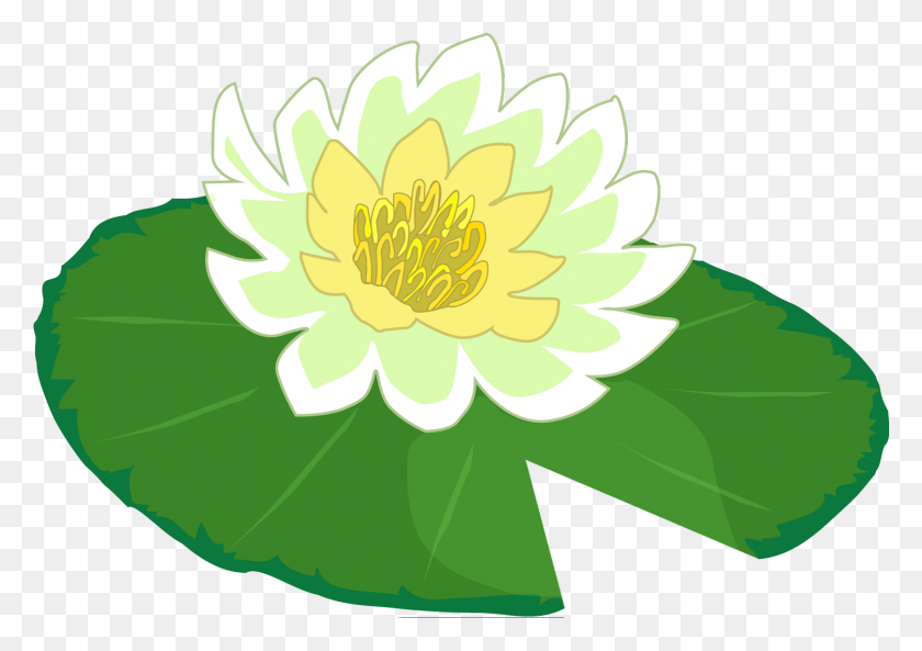 1501x1027 White Flower Water Lily Clipart The Cliparts Png - White Lily Clipart