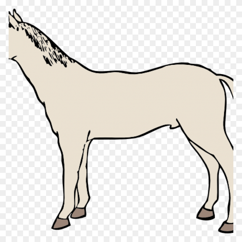 1024x1024 Белая Лошадь Клипарт Скачать Бесплатно - Ракушки Черно-Белый Клипарт