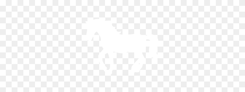 256x256 White Horse Icon - White Horse PNG