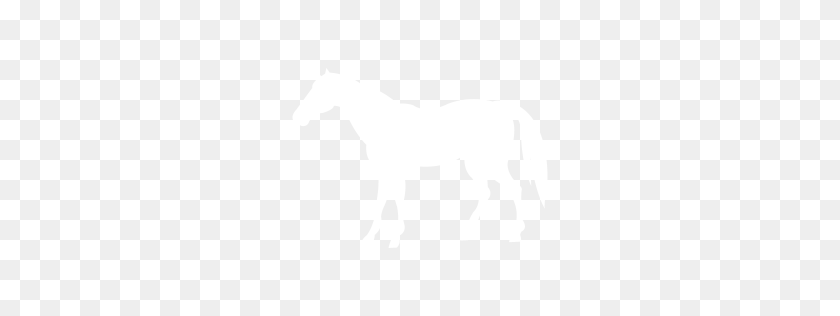 256x256 Значок Белая Лошадь - Белая Лошадь Png
