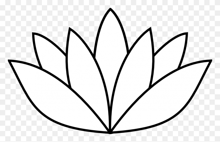 1000x618 White Lotus Flower W Microderm In Mid, Center Point - Flower With Roots Clipart