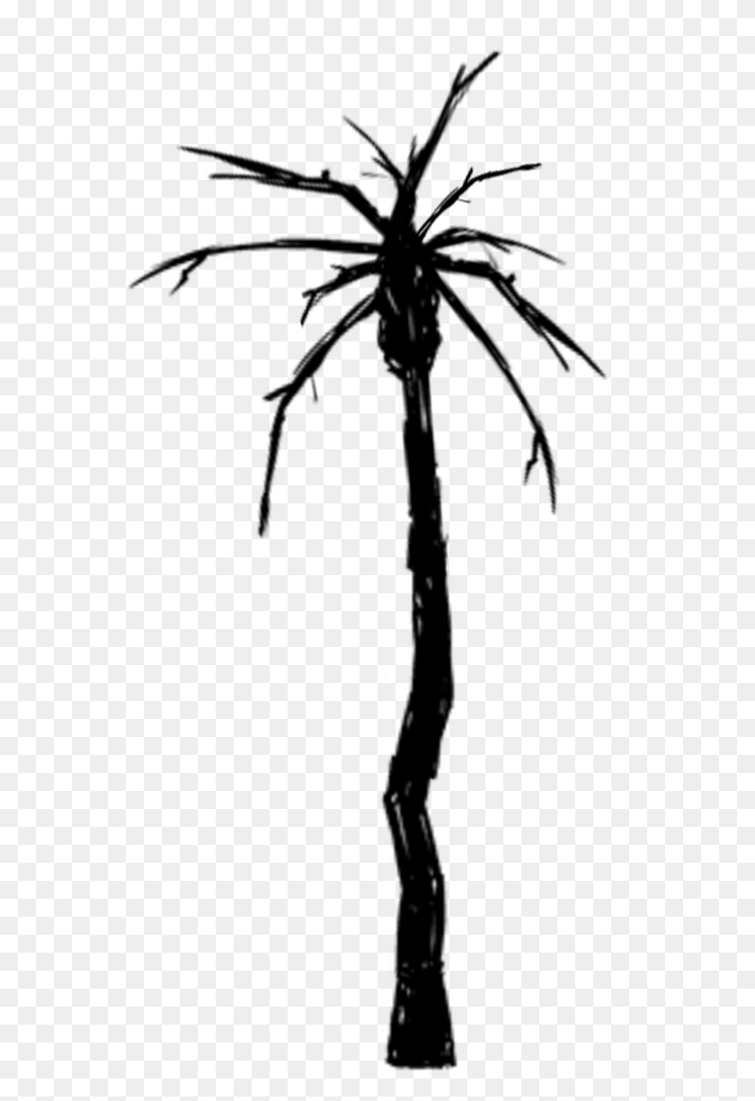 562x1165 White Palm Tree Png Movieweb - Palm Tree PNG Transparent
