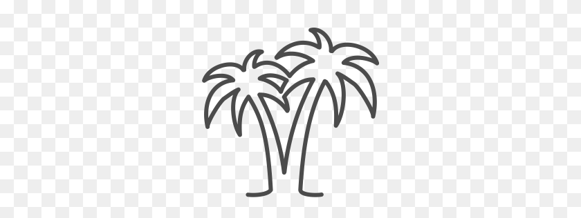 256x256 White Palm Tree Png Png Image - White Tree PNG