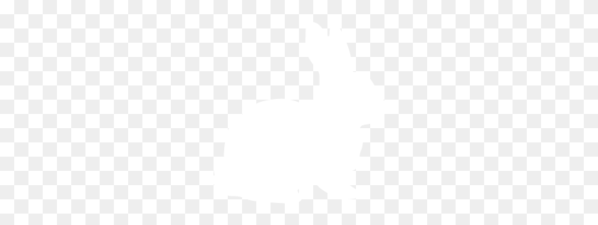 256x256 White Rabbit Icon - White Rabbit PNG