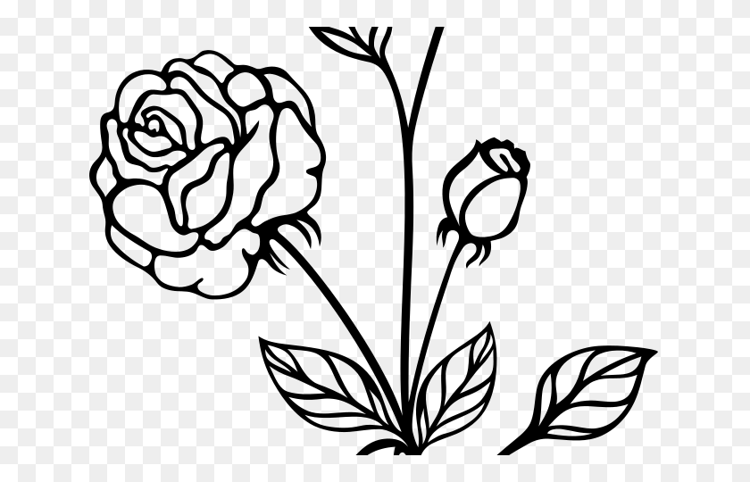 640x480 White Rose Clipart - Rose Clipart Black And White