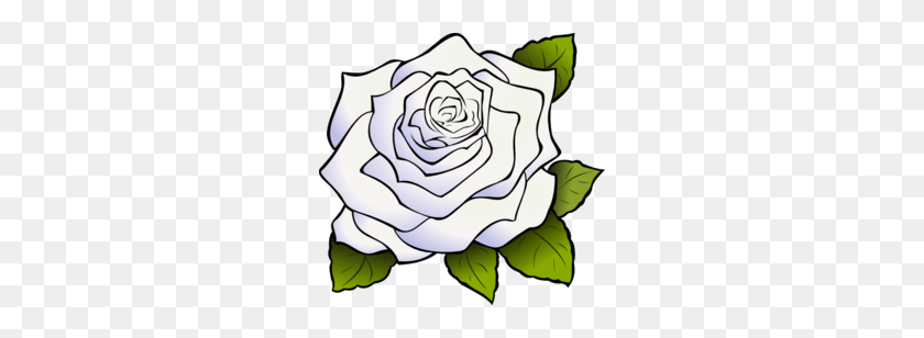 260x248 Белая Роза Клипарт - Цветочный Клипарт Роза