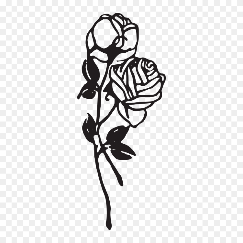 800x800 Белая Роза Клипарт Flowerclipart - Роза Клипарт На Прозрачном Фоне