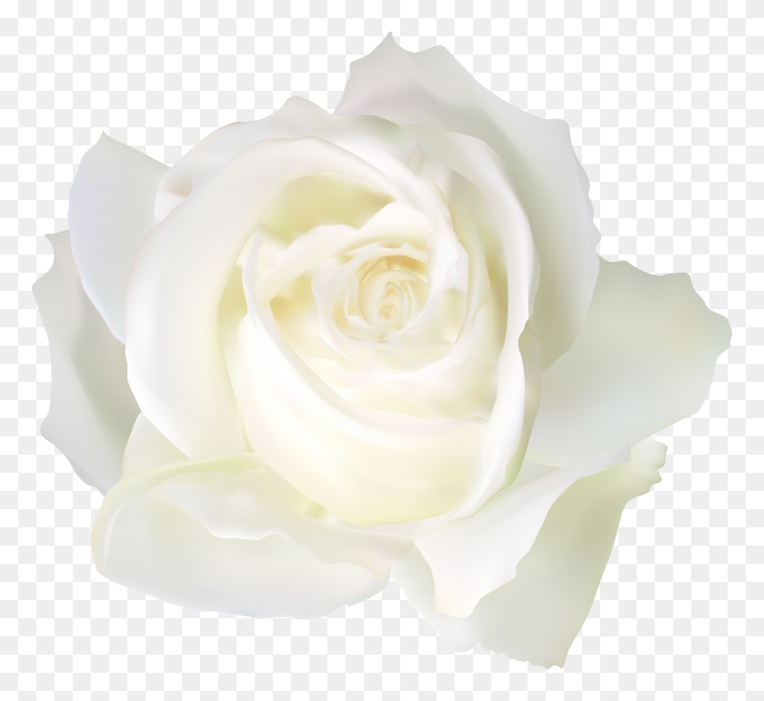 8000x7297 White Rose Png Clip Art - Rose Clipart Black And White