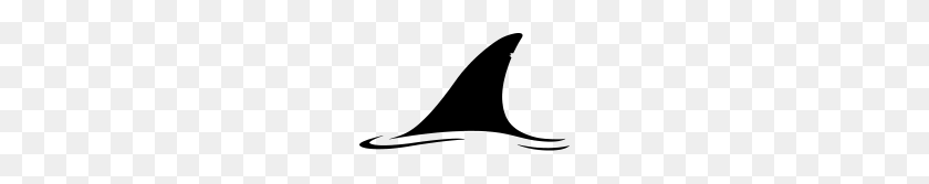 190x107 White Shark Fin - Shark Fin PNG
