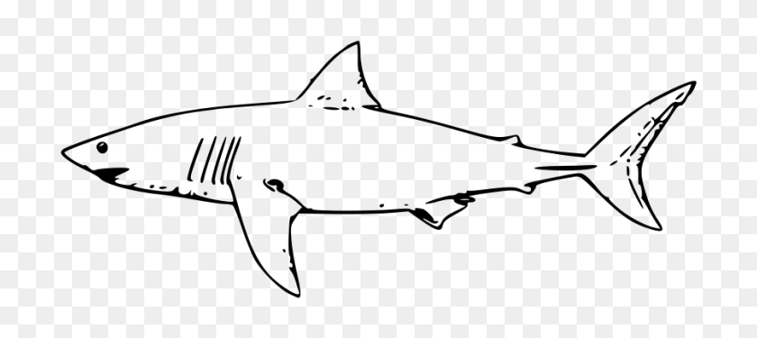 900x364 White Shark Png Clip Arts For Web - Shark Clipart Black And White