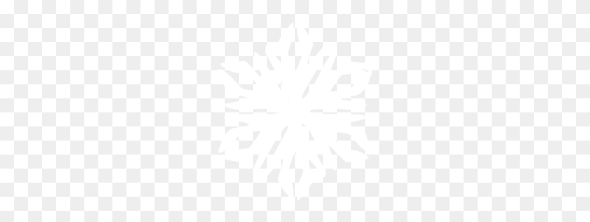 256x256 White Snowflake Icon - White Snowflake PNG