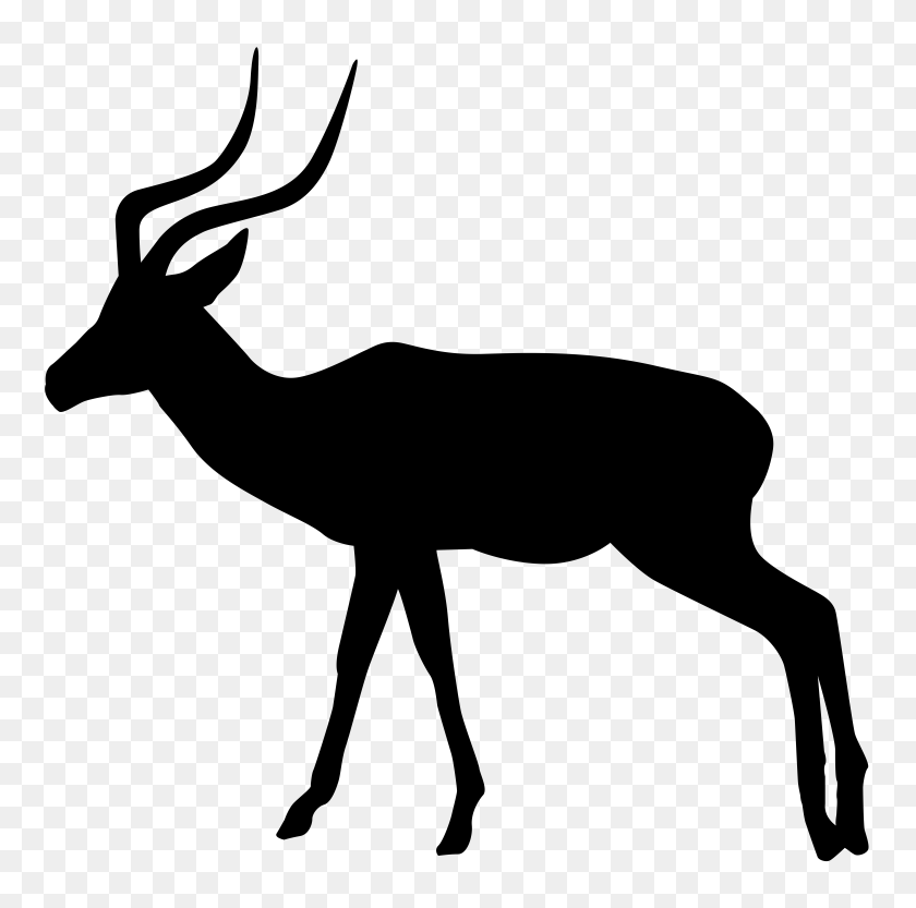 8000x7933 White Tailed Deer Clipart Rusa - Doe Head Clipart
