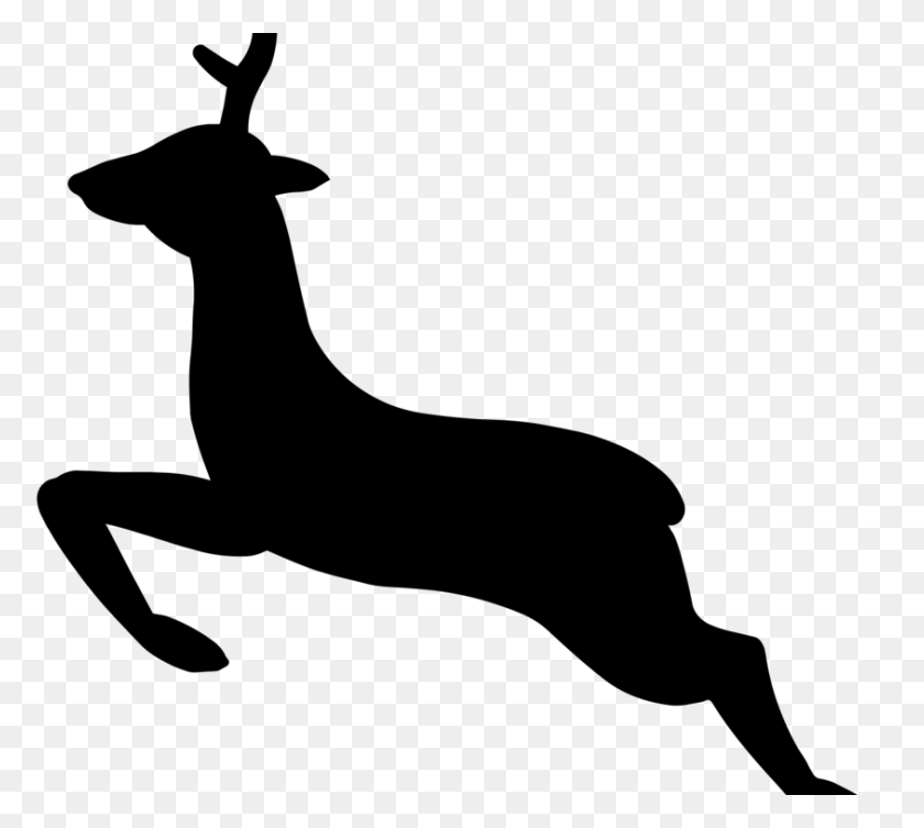 844x750 White Tailed Deer Red Deer Elk Roe Deer - Whitetail Deer Clipart
