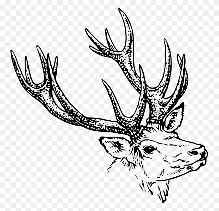 759x750 White Tailed Deer Reindeer Moose Elk - Reindeer Head Clipart