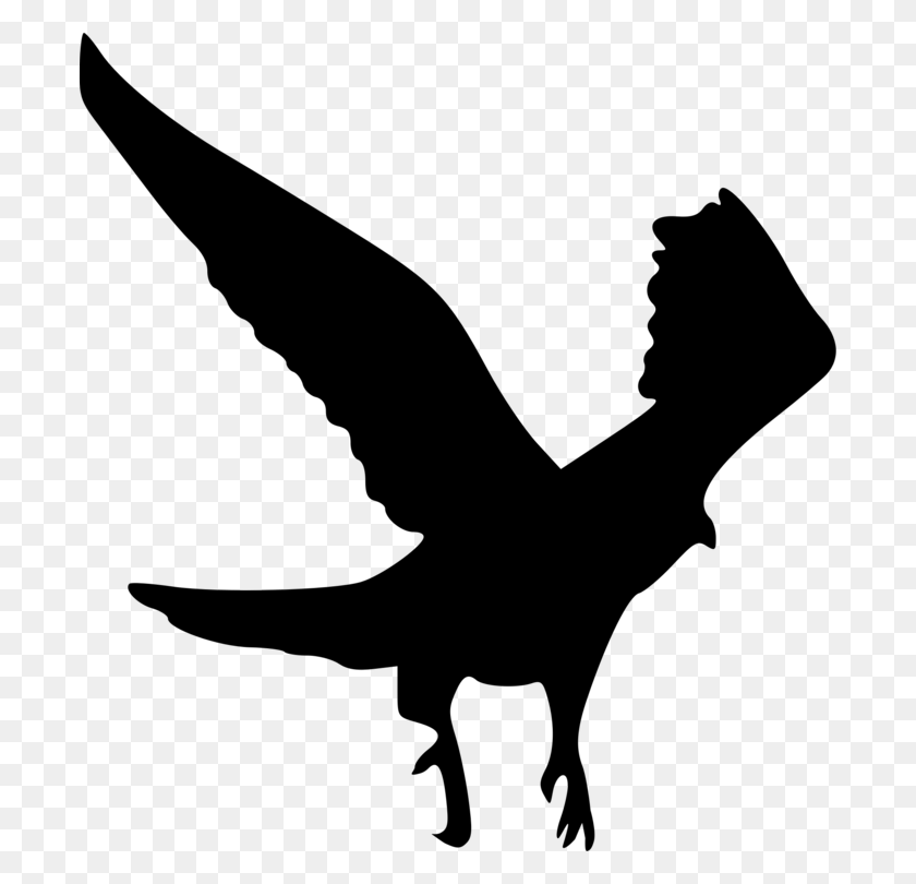 694x750 White Tailed Eagle Bald Eagle Bird Silhouette - Bald Eagle Clip Art