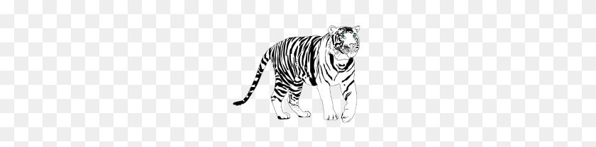 190x148 Белый Тигр - Белый Тигр Png