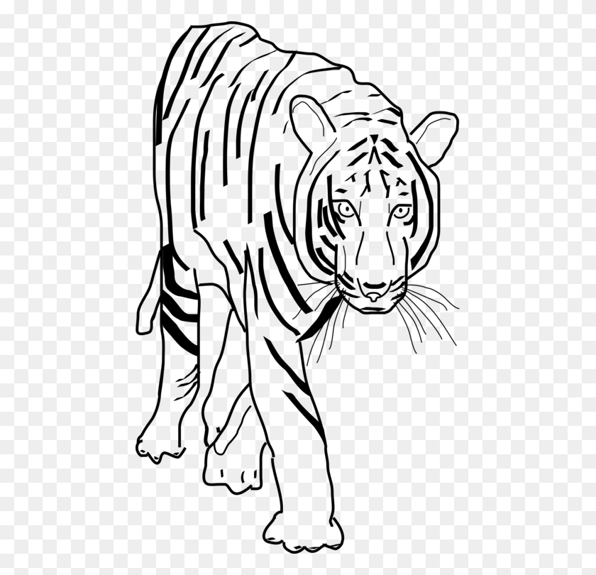 457x750 Белый Тигр Кошка Кошачьих Бенгальский Тигр Черный Тигр - Голова Тигра Клипарт Черный И Белый