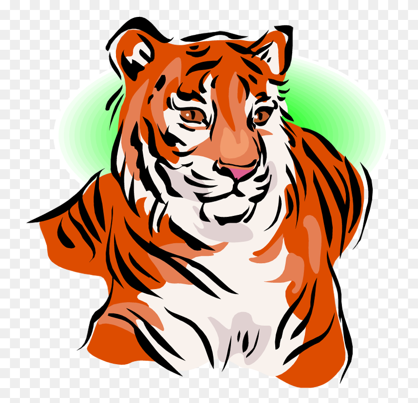 734x750 White Tiger Clipart Simple - White Tiger PNG