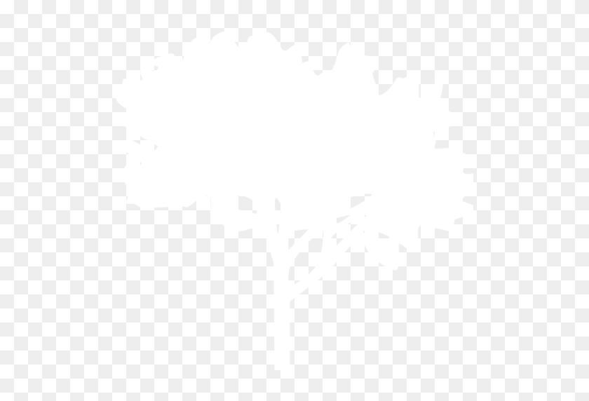 512x512 White Tree Icon - White Tree PNG