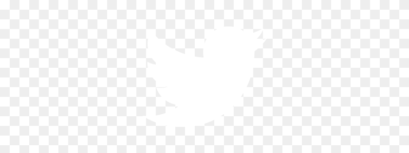 256x256 Белый Значок Twitter - Логотип Twitter Png На Прозрачном Фоне
