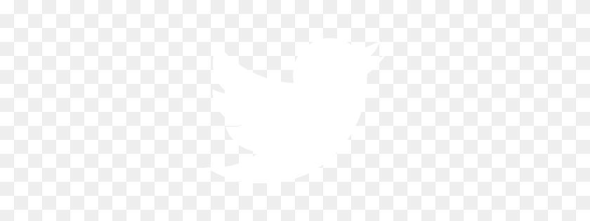 View Transparent Background Png Image Transparent Background Twitter Logo Png Gif