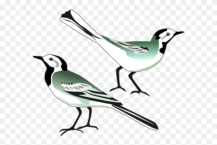 600x503 White Wagtail Png Clip Arts For Web - Mockingbird PNG