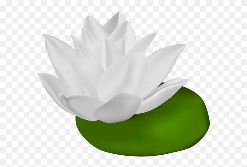600x508 White Water Lily Transparent Png Clip Art Gallery - White Lily Clipart