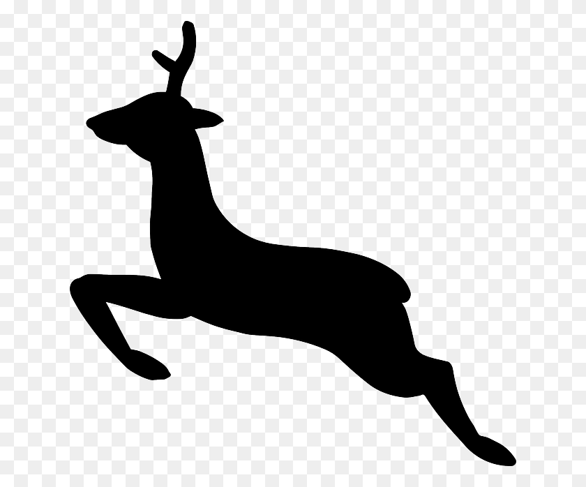 640x638 Whitetail Deer Clipart - Doe Clipart