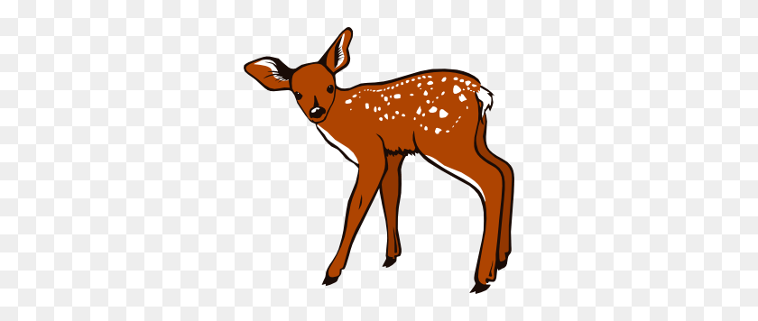300x296 Whitetail Deer Cliparts - Whitetail Deer Clipart