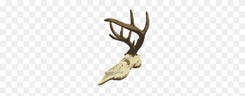 190x269 Whitetail Deer Skull - Deer Skull PNG