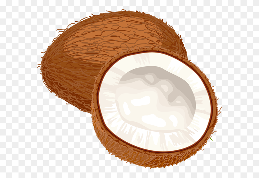 600x518 Whole Coconut Clip Art - Coco Clipart
