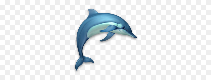 260x260 Wholphin Clipart - Miami Dolphins Clipart