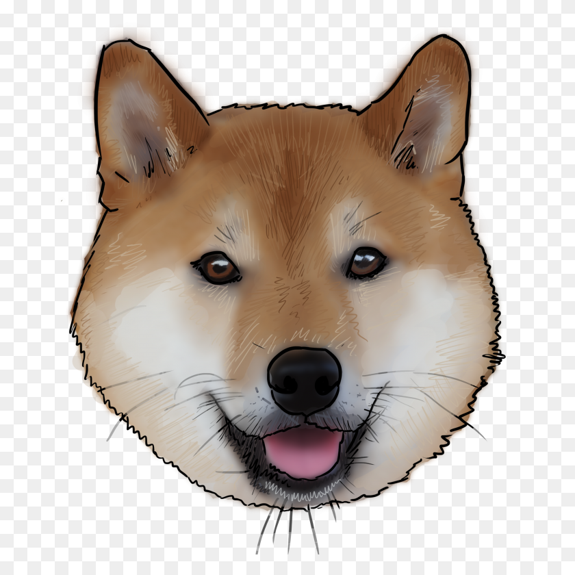3000x3000 Why Are You A Dog - Shiba Inu PNG