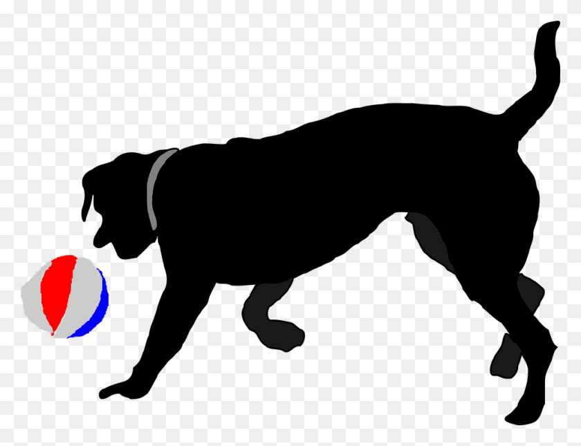 960x720 Why Do Dogs Chase People - Chase Clipart