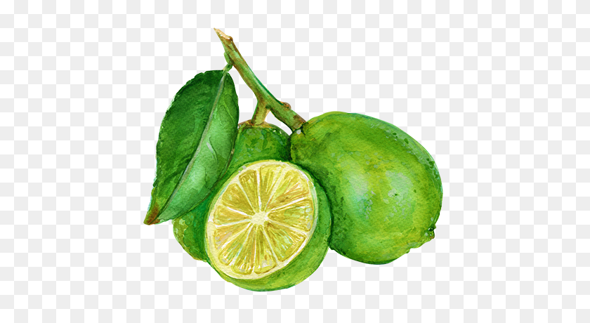 500x400 Why Grove - Limes PNG