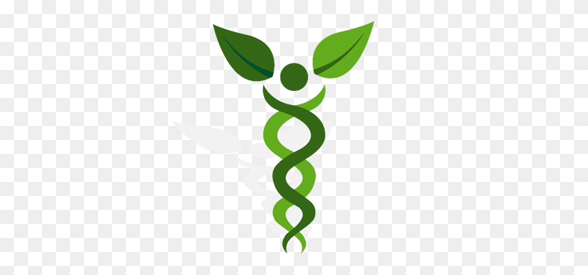 350x333 Почему Пациенты С Медицинской Марихуаной Должны Рассматривать Каннабис - Растение Марихуаны Png
