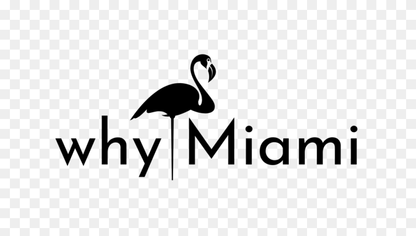 1000x534 Why Miami - Miami PNG