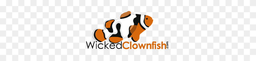 297x140 Wicked Clownfish T Shirts - Clown Fish PNG
