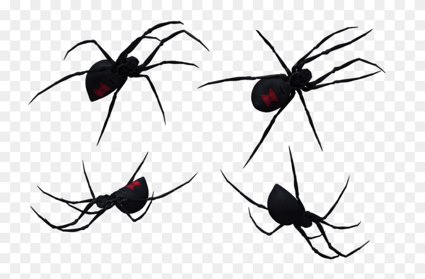 1024x645 Widow Spiders Clip Art - Black Widow Clipart